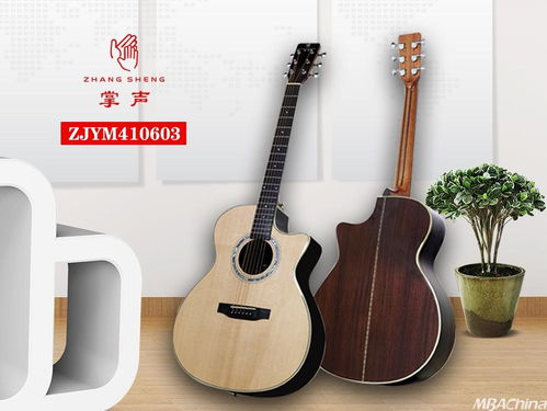 掌聲音樂器 以品牌戰(zhàn)略驅(qū)動(dòng)，布局千萬級(jí)市場新藍(lán)圖